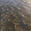 hillsidewaves